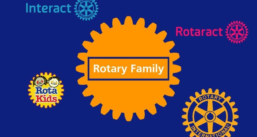 Website & Brand Design  